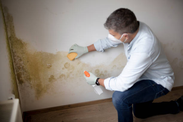 Best Biohazard Mold Removal  in Youngstown, OH