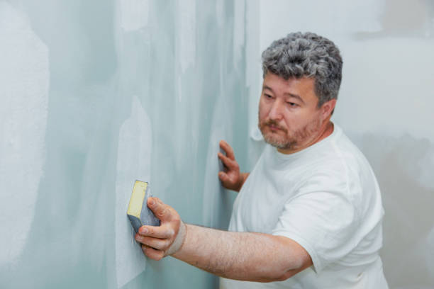 Best Asbestos and Lead Testing During Mold Inspection  in Youngstown, OH