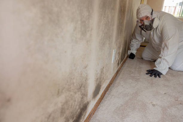 Best HVAC Mold Inspection and Cleaning  in Youngstown, OH