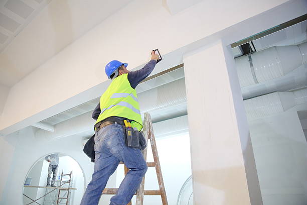 Best Basement Mold Removal  in Youngstown, OH