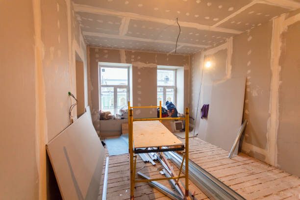 Best Real Estate Mold Inspection  in Youngstown, OH